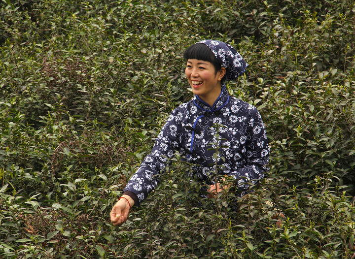 危险关系